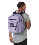 תיק גב ג׳נספורט ביג סטודנט 6 תאים סגול לילך Jansport Big Student