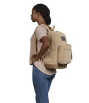 jansport right pack expression (3)