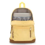 jansport right pack expression (1)