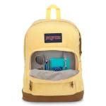 jansport right pack expression (1)