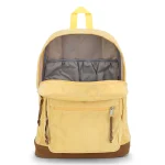 jansport right pack expression (1)