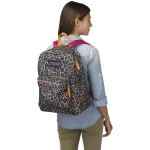 jansport multicolor (1)