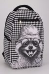 kiss whale raccoon