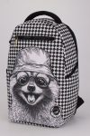 kiss whale raccoon